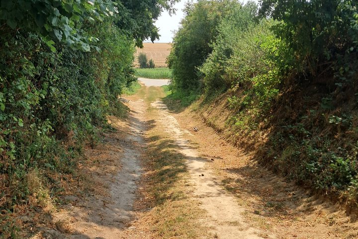 Somme Battlefield Tours Expert Led Historical Experiences