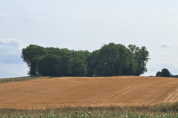 Somme Battlefield Tours Expert Led Historical Experiences