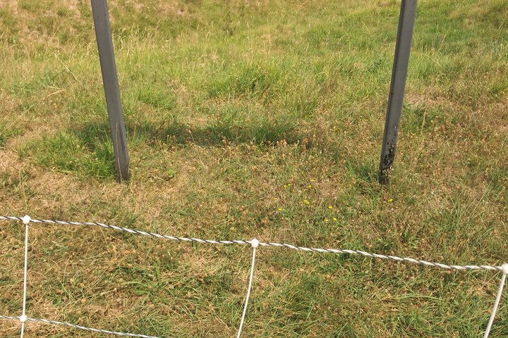 Somme Battlefield Tours Expert Led Historical Experiences