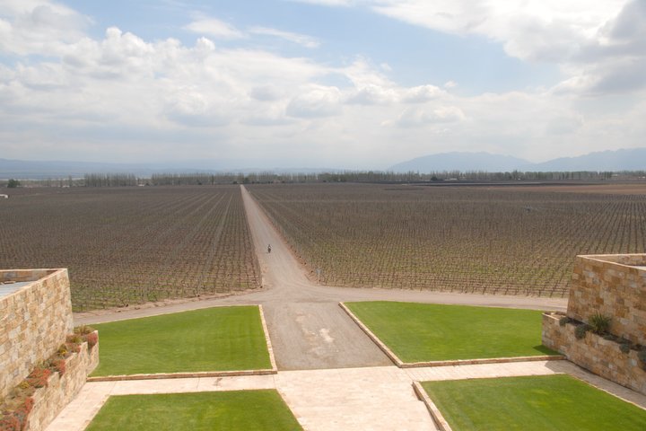 Wine Experience in Mendoza Half Day in Maipu and Lujan