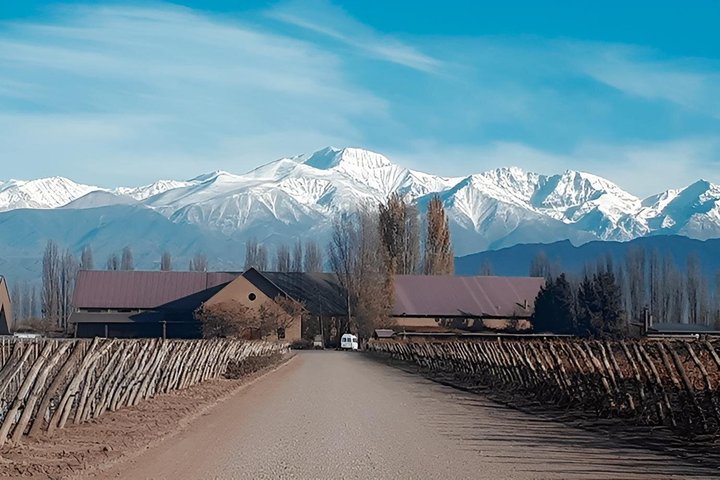 Wine Experience in Mendoza Half Day in Maipu and Lujan