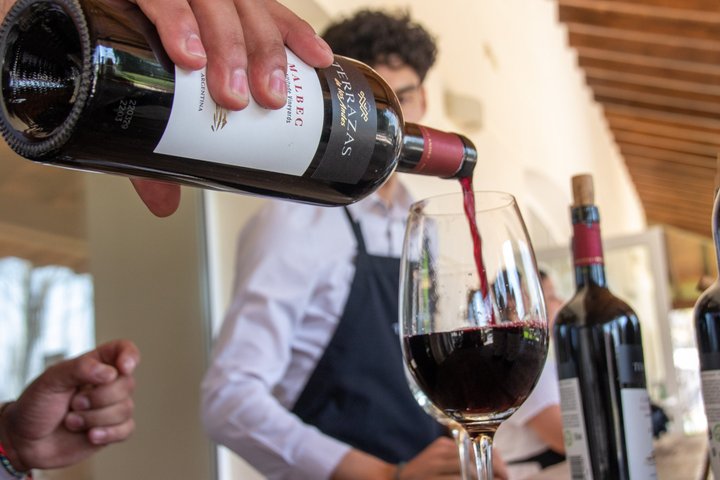 Wine Experience in Mendoza Half Day in Maipu and Lujan