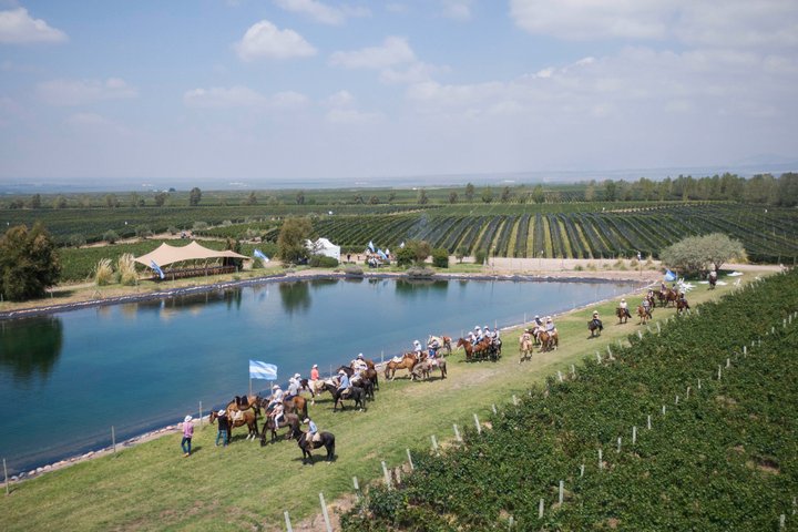 Wine Experience in Mendoza Half Day in Maipu and Lujan