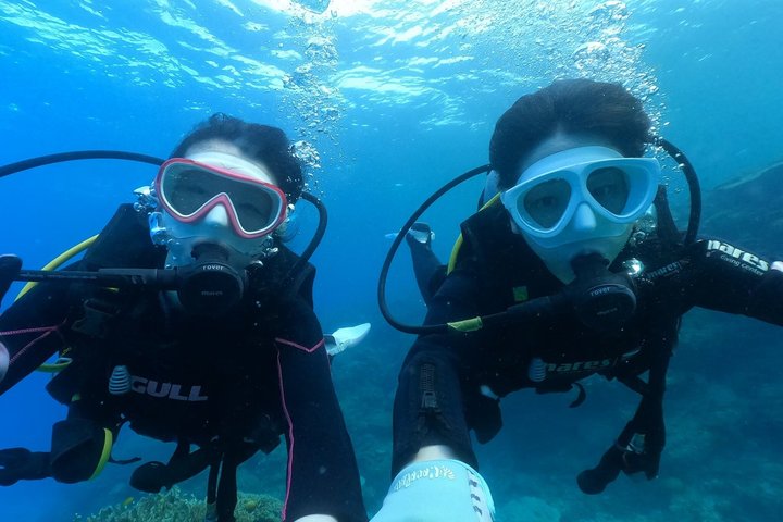 Okinawa: Discover SCUBA Diving 2 Dives at Minna, Sesoko or Motobu
