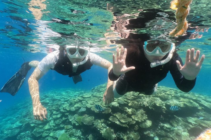 Okinawa: Boat Snorkeling 2 Rounds at Minna, Sesoko or Motobu