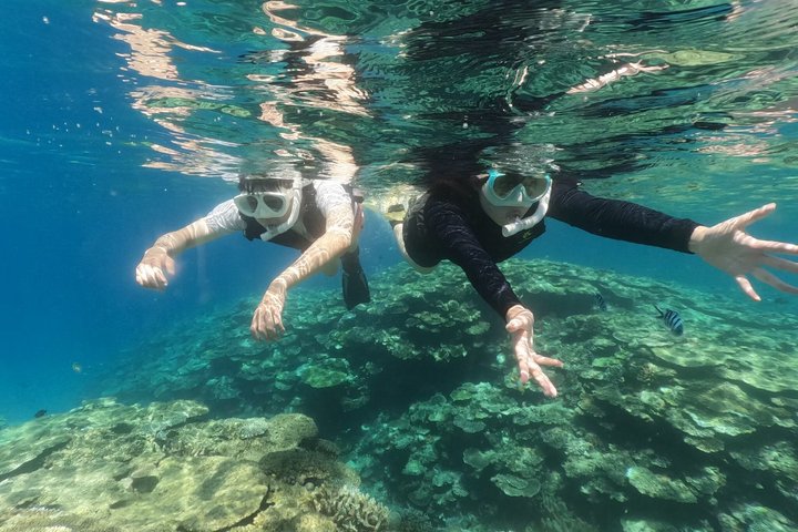 Okinawa : Boat Snorkeling 1 Round at Minna, Sesoko or Motobu