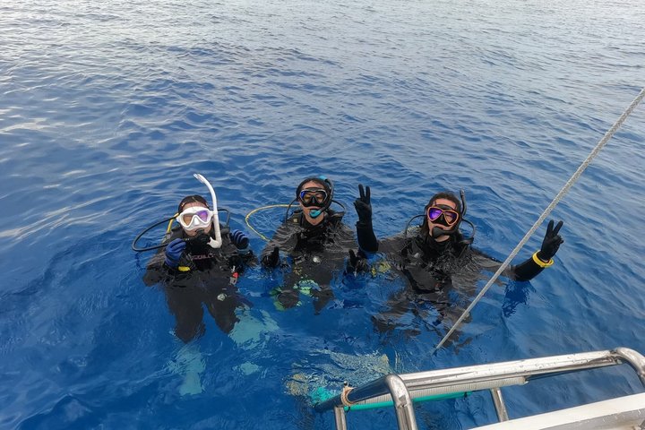 Okinawa: Discover SCUBA Diving 1 Dive at Minna, Sesoko or Motobu