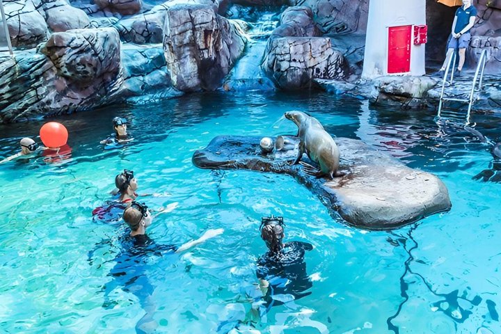 SEA LIFE Sunshine Coast Aquarium Entrance Ticket