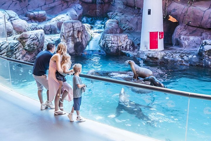 SEA LIFE Sunshine Coast Aquarium Entrance Ticket