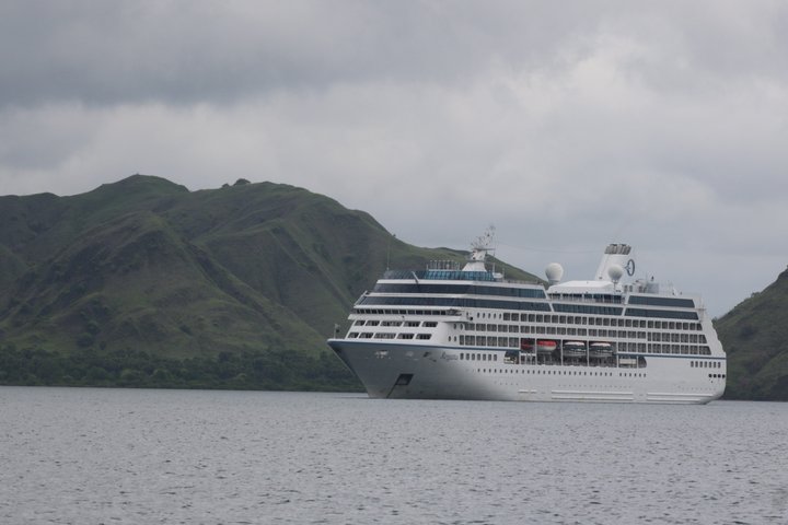 Top Komodo Island Shore Tour for passengers of Cruise Ship