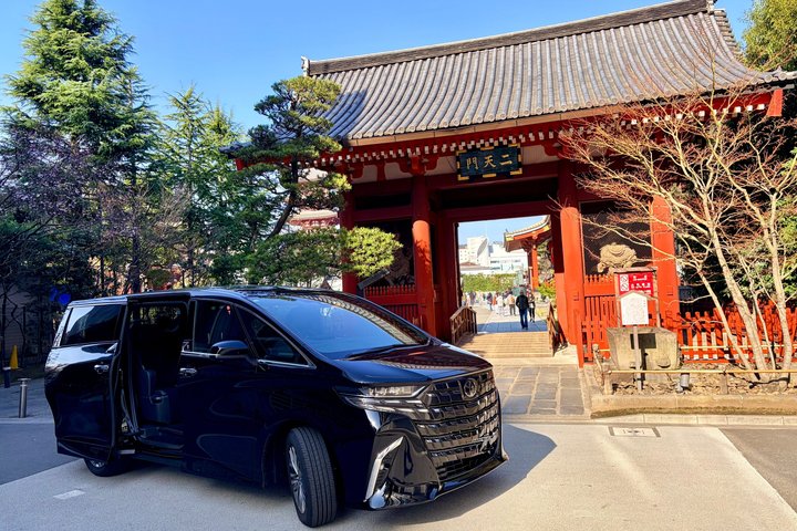 Tokyo Private Half-Day Highlights Tour by Car with Guide