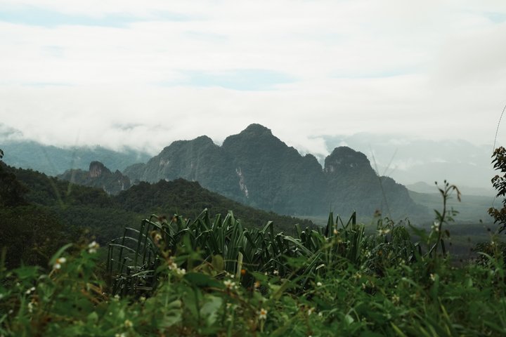 From Khao Lak : Cheow Lan Lake & Nam Rad Emerald Pool