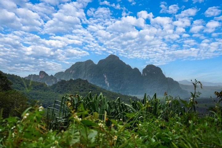 Khao Sok Rainforest | Hiking & Bamboo Rafting