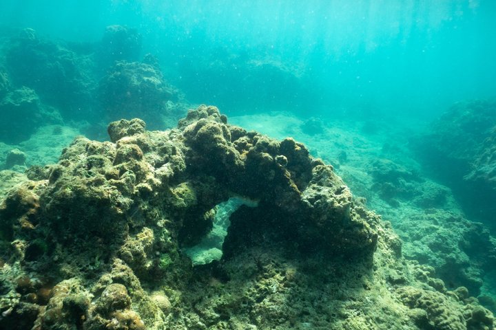 Island Cruise from Phuket to Phi Phi Islands with Maya Bay Visit