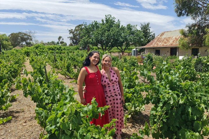 Group of Four Private Barossa Wine Tour with Lunch