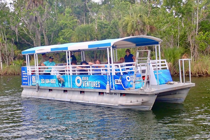Crystal River Manatee Viewing & Sightseeing Boat Tour