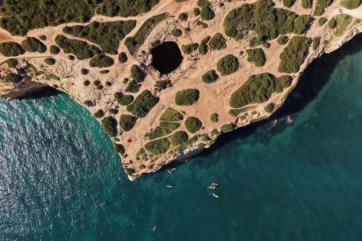 Dolphins & Cave Boat Cruise with Marine Biologist from Albufeira