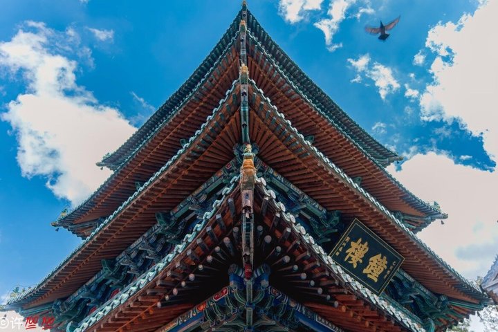 Luoyang Private Day tour to Longmen Grottoes and Shaolin temple