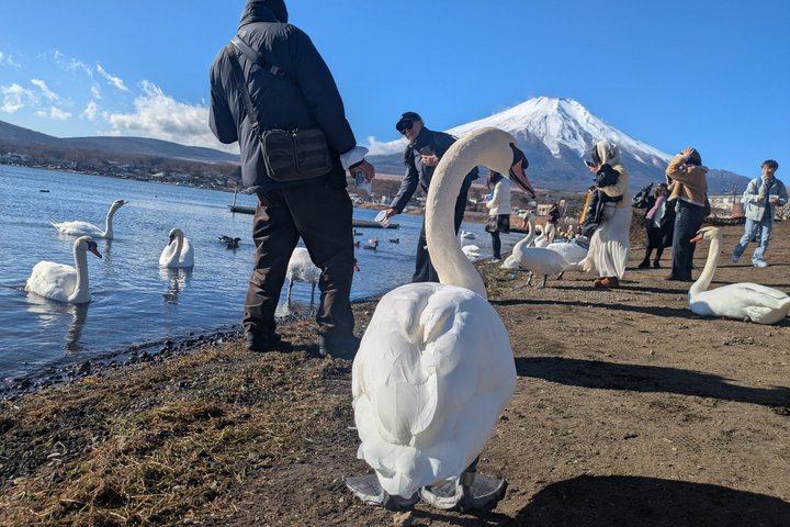 Lake Kawaguchi : Private Half Day Customized Tour w/ local guide