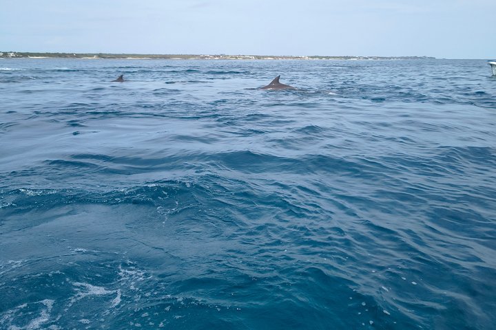 Private Full Day Mnemba Island Snorkeling & Kendwa Beach