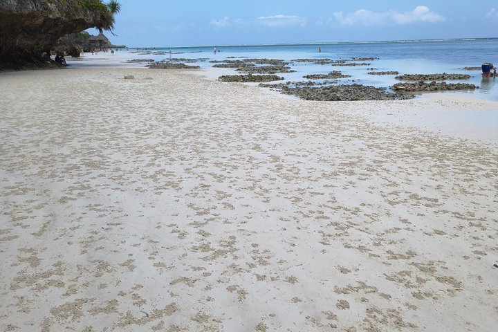 Private Full Day Mnemba Island Snorkeling & Kendwa Beach
