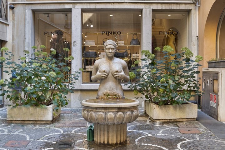 Treviso Private Tour - Custom Experience with Local Guide