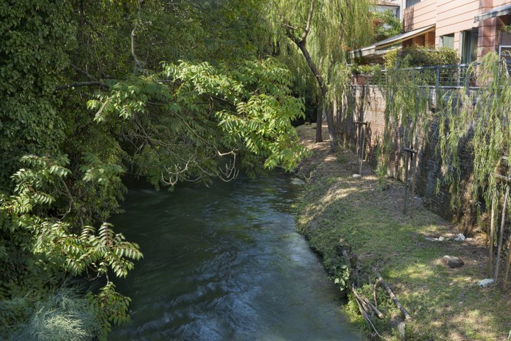 Treviso Private Tour - Custom Experience with Local Guide