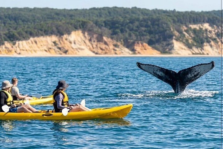 Rainbow Beach: Whale Watching Ocean Kayak Tour & Beach 4X4