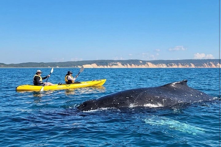 Rainbow Beach: Whale Watching Ocean Kayak Tour & Beach 4X4