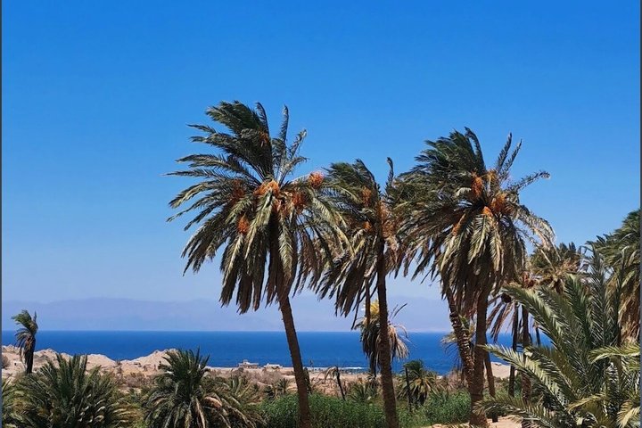 Full-Day Tour from Tabuk: Split Rock of Horeb & Mount Sinai