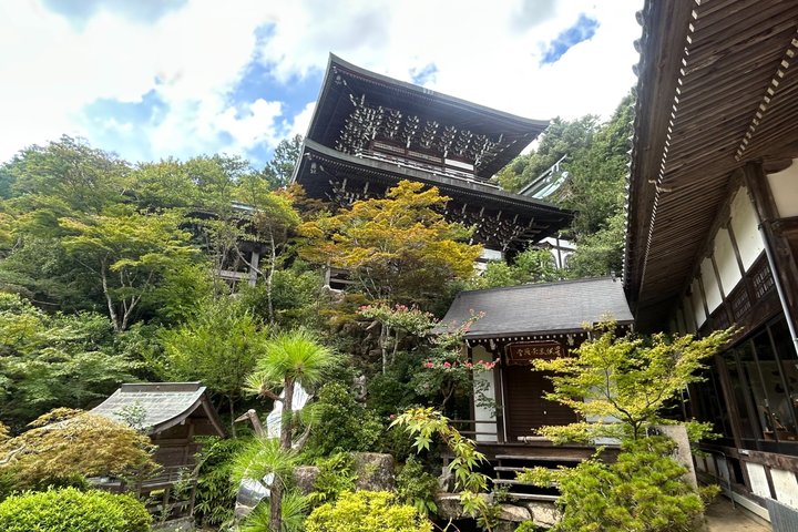 Hiroshima and Miyajima 6 and half Hour Guided Tour