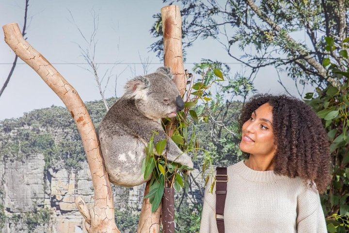 Blue Mountains Day Tour Including Parramatta River Cruise
