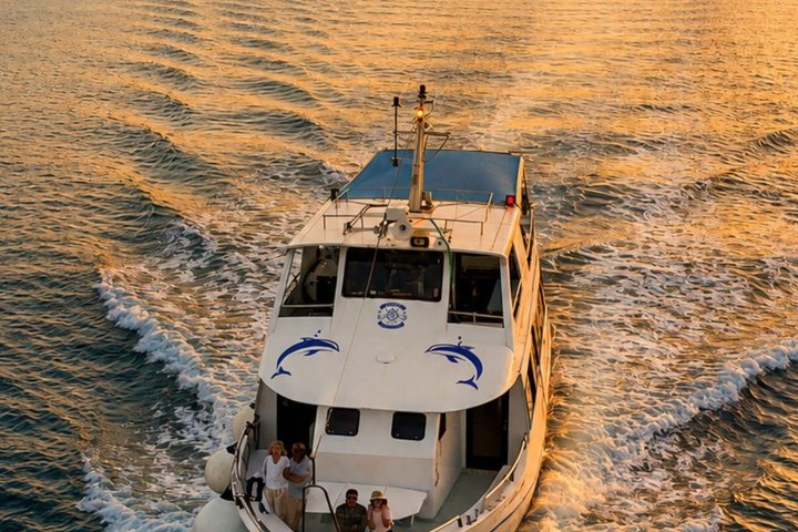 Dolphin Watching & Sunset Boat Tour With Drinks & optional Dinner