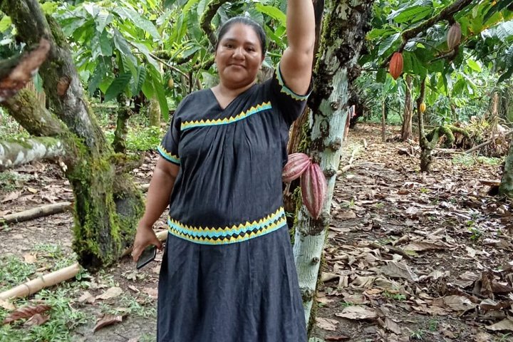 Indigenous Cacao Tour in Bocas del Toro