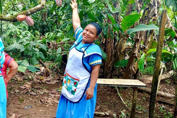 Indigenous Cacao Tour in Bocas del Toro
