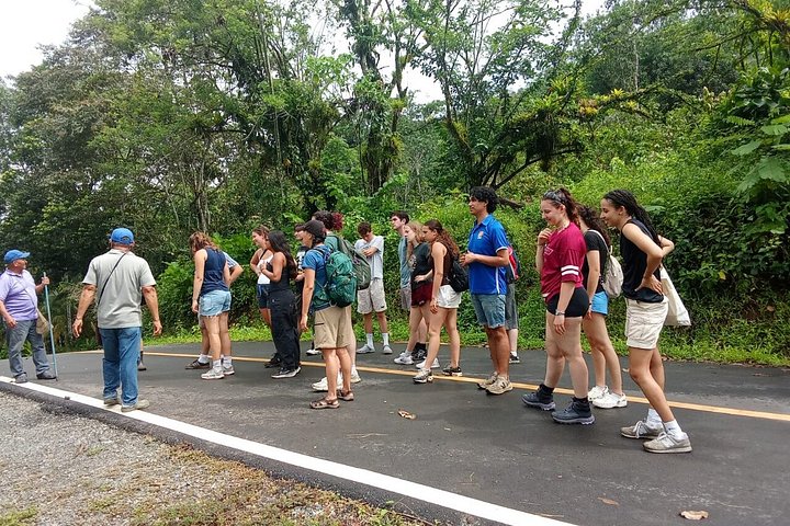 Indigenous Cacao Tour in Bocas del Toro