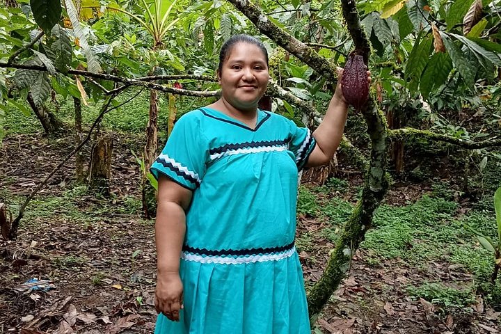 Indigenous Cacao Tour in Bocas del Toro