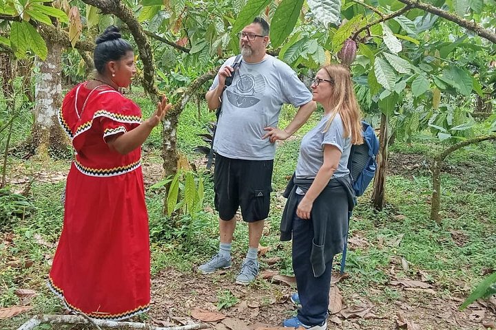 Indigenous Cacao Tour in Bocas del Toro