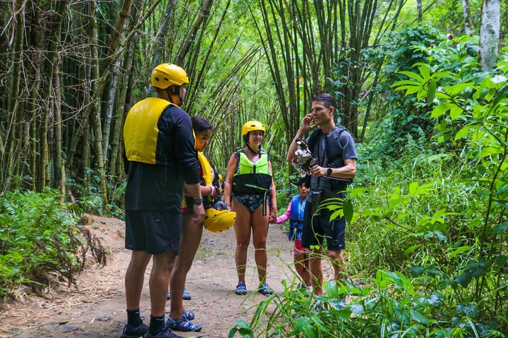 Small Group El Yunque Half Day Tour with Transport: Waterslide