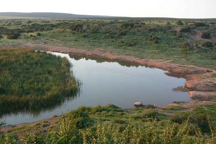 Addo Elephant National Park Tours from Port Elizabeth