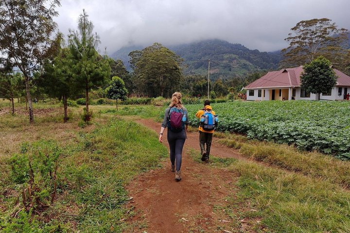 4-Day Guided Usambara Mountains Trek to Mtae