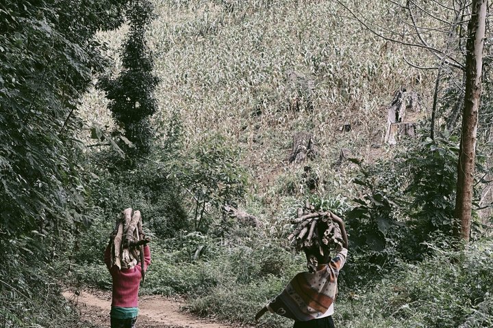 4-Day Guided Usambara Mountains Trek to Mtae