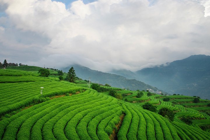 Wenzhou Private Departure Transfer: Hotel to Railway Station