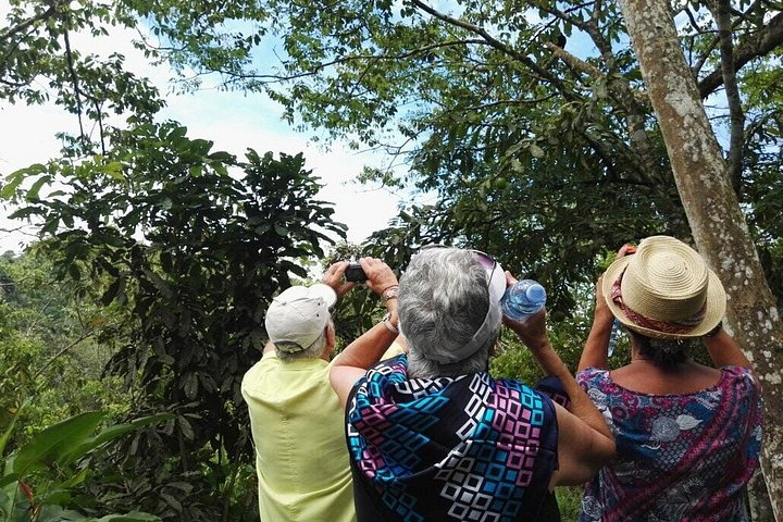 Manta Pacoche Wildlife Refuge and Lighthouse Trail Tour