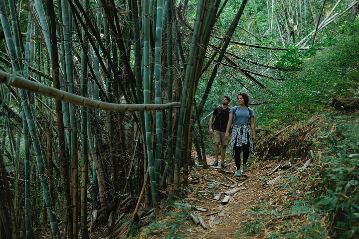 Manta Pacoche Wildlife Refuge and Lighthouse Trail Tour