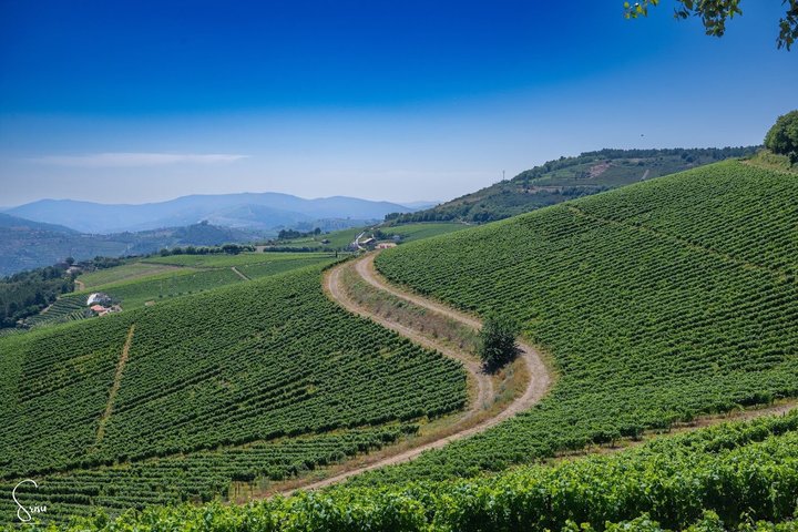Port Wine Trail