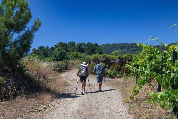 Port Wine Trail