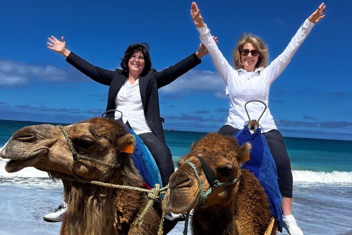 Private Tangier Tour from Tarifa with Camel Ride & Moroccan Lunch