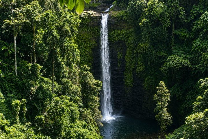 Southeast Side of Upolu Full-Day Island Tour of Samoa