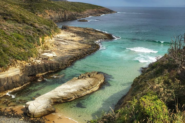 Port Arthur Full-day Guided Tour with Harbour Cruise and Tasman National Park